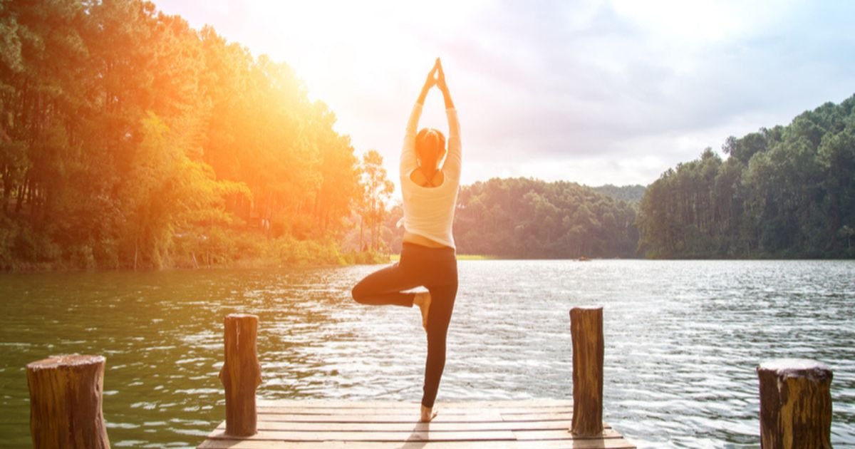 Best Wellness Supplements -HealthyFixHub Top Picks